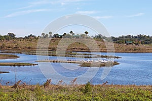 Robinson Preserve in Bradenton, Florida