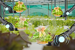 Robot arm checking inspect and harvest and monitor operation harvesting Agricultural product futuristic vegetable farm,concept