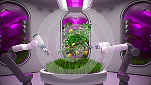 robot farm for the production of vegetables and fruits. high-tech production of environmentally friendly food