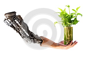 Robot hand hold on houseplant