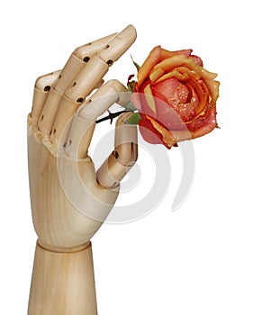 Robot hand holding rose