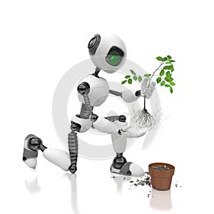 Robot Humanoid plants a seedling in a flowerpot on a white background. Future concept with smart robotics and artificial intellige