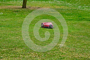 Robot lawn mower on summer meadow in the garden with copy space