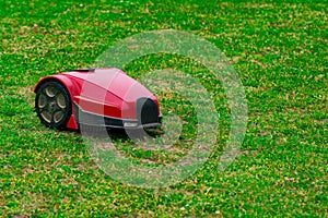 Robot lawn mower on summer meadow in the garden with copy space