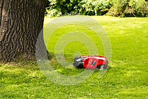 robot lawn mower on a well-groomed green lawn