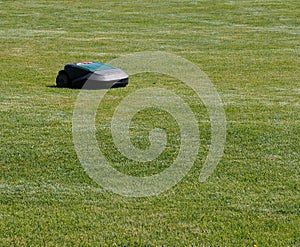 Robot lawn mower at work on a lawn in a sunny day