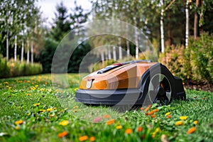 Robot lawnmower on grass with flowers