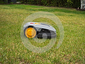 Robot lawnmower mows the lawn.