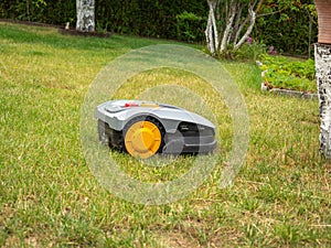 Robot lawnmower mows the lawn.