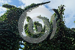 Robot Trees at the Surrealist Garden, Hamilton Gardens, Hamilton, New Zealand, NZ