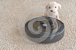 Robot vacuum cleaner with a dog on a clean beige carpet. The concept of cleanliness and comfort at home