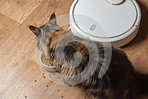 Robot vacuum cleaner tidy up cat food