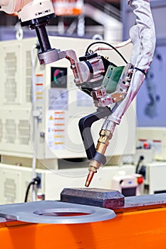 Robotic cutting machine