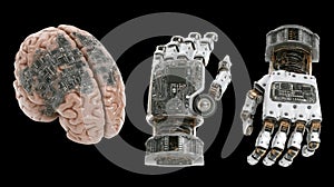 Robotic hands and brain showing artificial intelligence concept