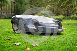 Robotic lawn mower cutting grass in the garden