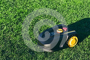 Robotic Lawn Mower cutting grass in the garden. Automatic robot lawnmower in modern garden on sunny day