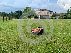 Robotic lawn mower on grass, side view. High quality photo