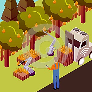 Robotised Fruit Collection Background