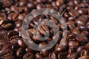 Robusta Coffee Beans