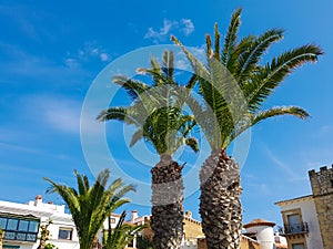 Roc de Sant Gaieta village on Tarragona, Catalonia, Spain