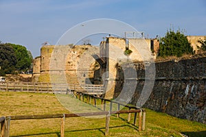Rocca Brancaleone, Ravenna