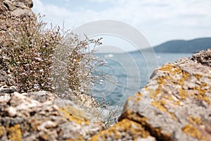 Rocce di una scogliera