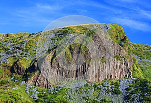 Rocha dos Bordoes in Flores Island in summer photo