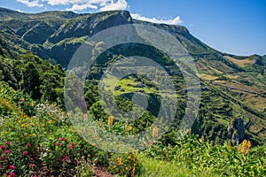 Rocha dos Bordoes on the island of Flores in the Azores, Portugal photo