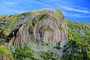 Rocha dos Bordoes in Flores Island in summer photo