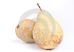 Rocha Pear