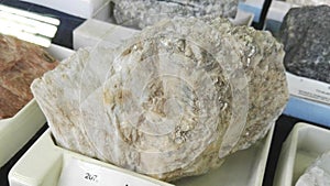 Rock with albite tectosilicate