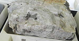 Rock with albite tectosilicate photo