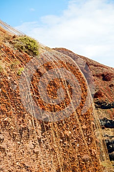 rock alone in the net bush