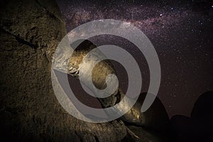 Rock arch under Milky Way