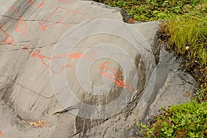 Rock art in Alta Fjord, Norway. Ancient symbols, real drawing,  texture in stone. Red ocher paint. Human preys on animals deer.