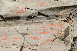 Rock art in Alta Fjord, Norway. Ancient symbols, real drawing,  texture in stone. Red ocher paint. Human preys on animals deer.