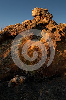 Rock art in the Ceder mountain