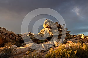 Rock art in the Ceder mountain