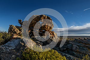 Rock art in the Ceder mountain