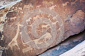 Rock art engravings, Twyfelfontein World Heritage Site, in Damaraland, Namibia