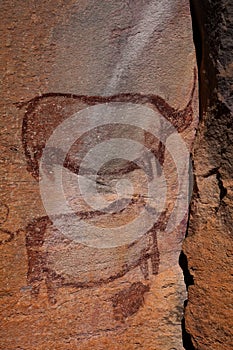 Rock art - Tsodilo Hills