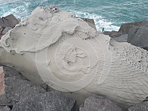 Rock artwork on a breakwall Noby& x27;s Headland NSW Australia