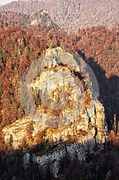 The rock in autumn forest by sunset in Harmanec, Slovakia, natural scene