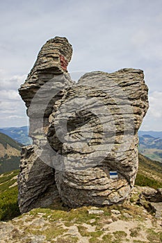 Rock on a background of Carpathians mountains. Ukraine.