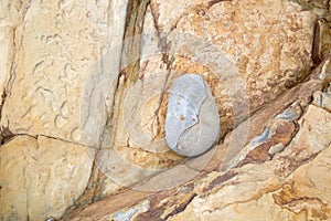 Rock Background, Waymont Beach