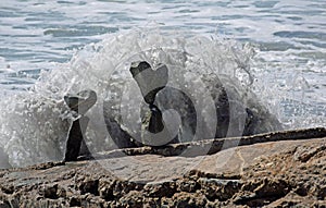 Rock balancing art on beach rocks in Laguna Beach, California.