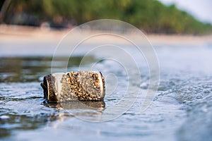 Rock barnacle attach on  beer can garbage leaving in sea for a long time at beach front