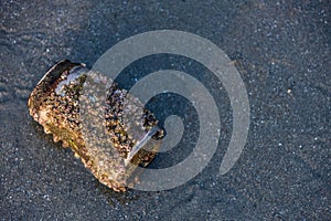 Rock barnacle attach on  beer can garbage leaving in sea for a long time at beach front