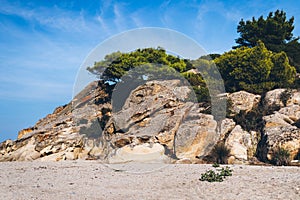 The rock on the beach is covered with green trees and bushes.