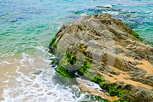 Rock on the beach with seaweed at low tide. Costa Brava, Spain